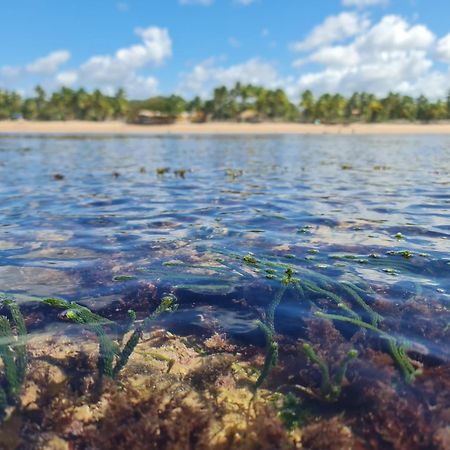 Praia dos Algodoes Laus Bangalos Experience - Piscina Privativa - Praia De Algodoes - Peninsula De Marau - Bahia מראה חיצוני תמונה